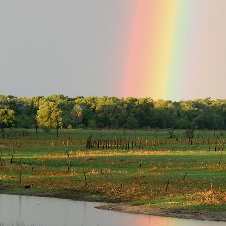 Island Safari Lodge Maun Dış mekan fotoğraf