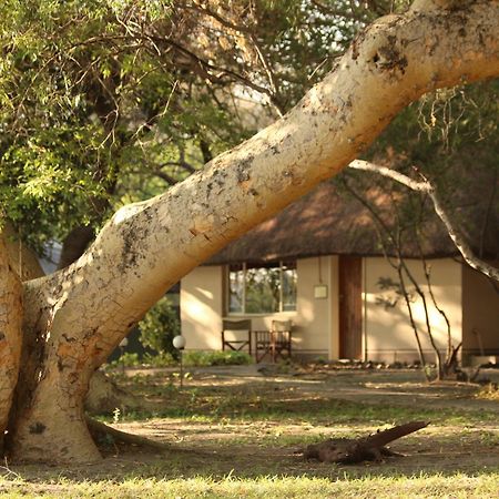 Island Safari Lodge Maun Dış mekan fotoğraf