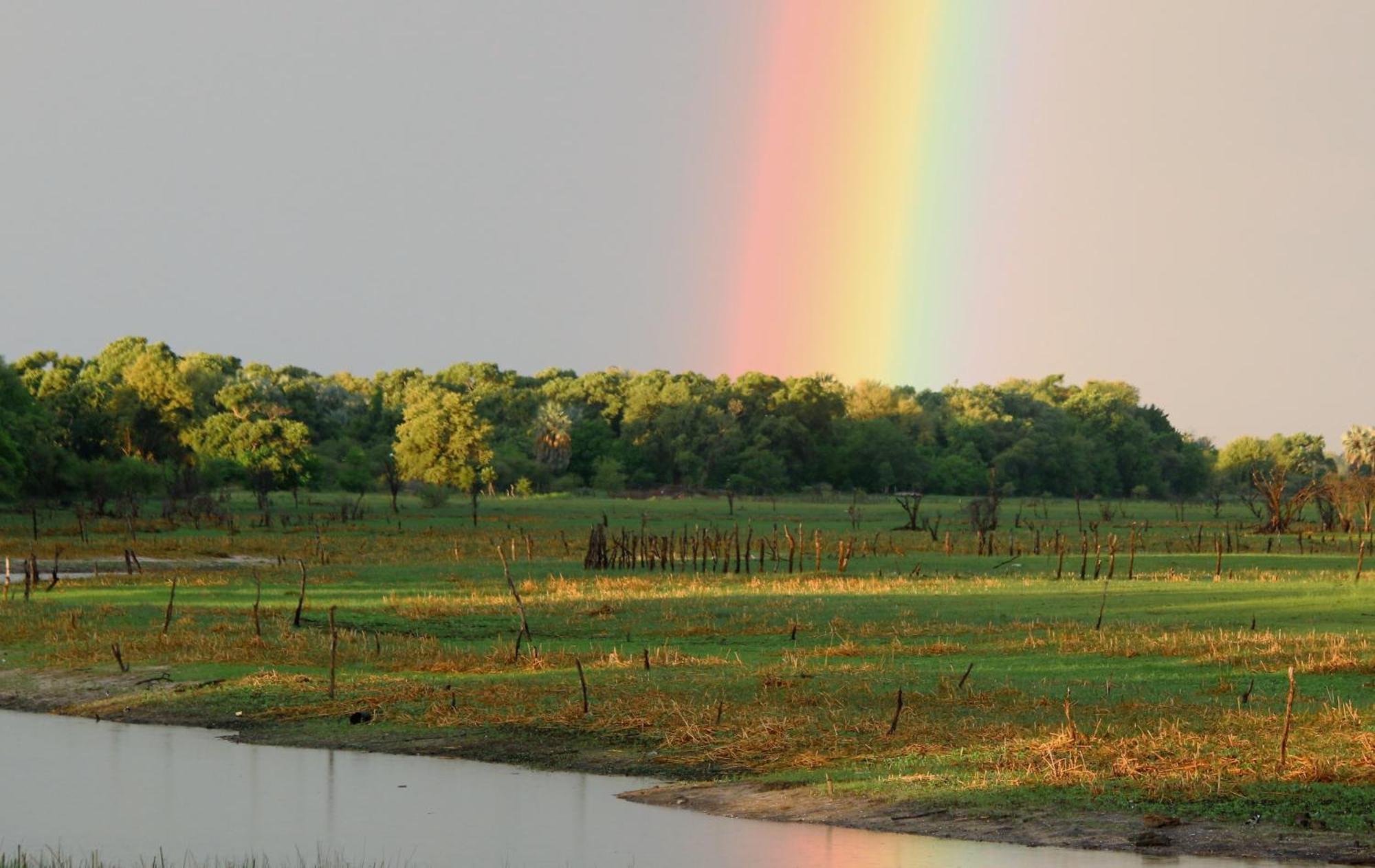 Island Safari Lodge Maun Dış mekan fotoğraf