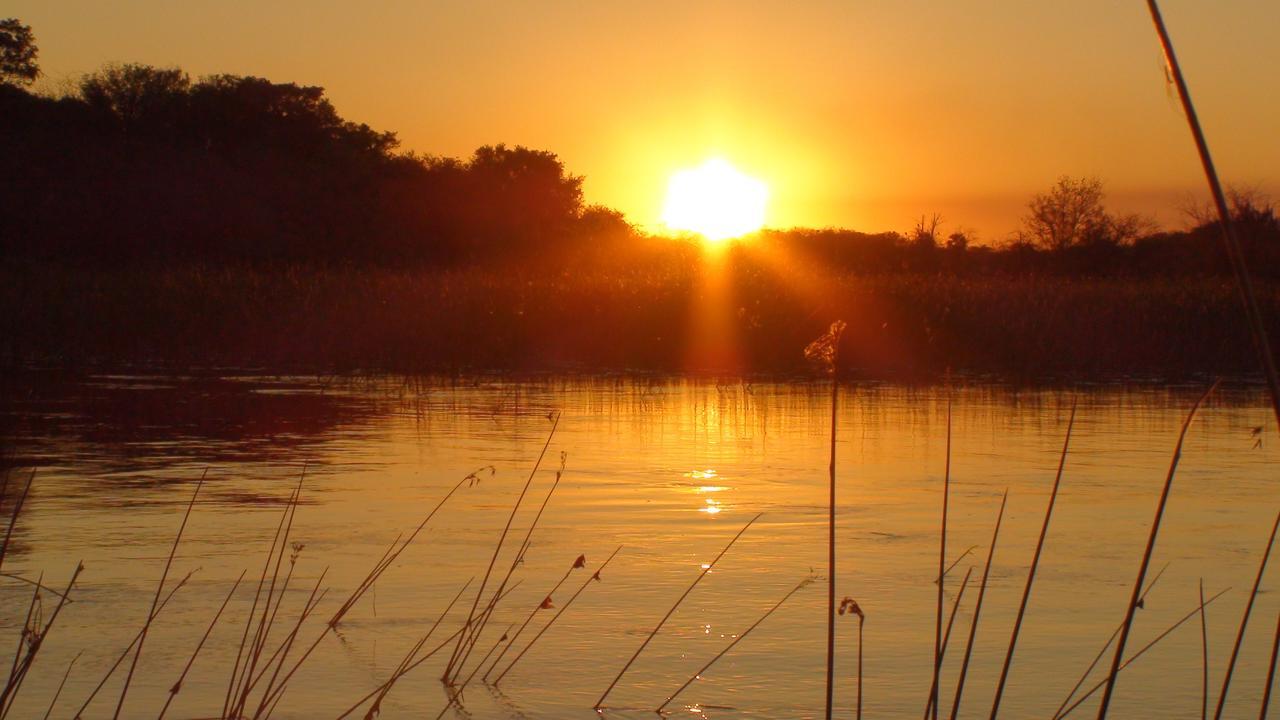 Island Safari Lodge Maun Dış mekan fotoğraf