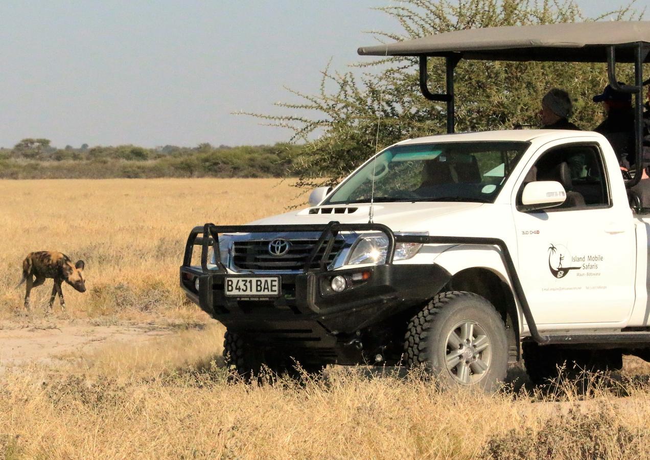 Island Safari Lodge Maun Dış mekan fotoğraf