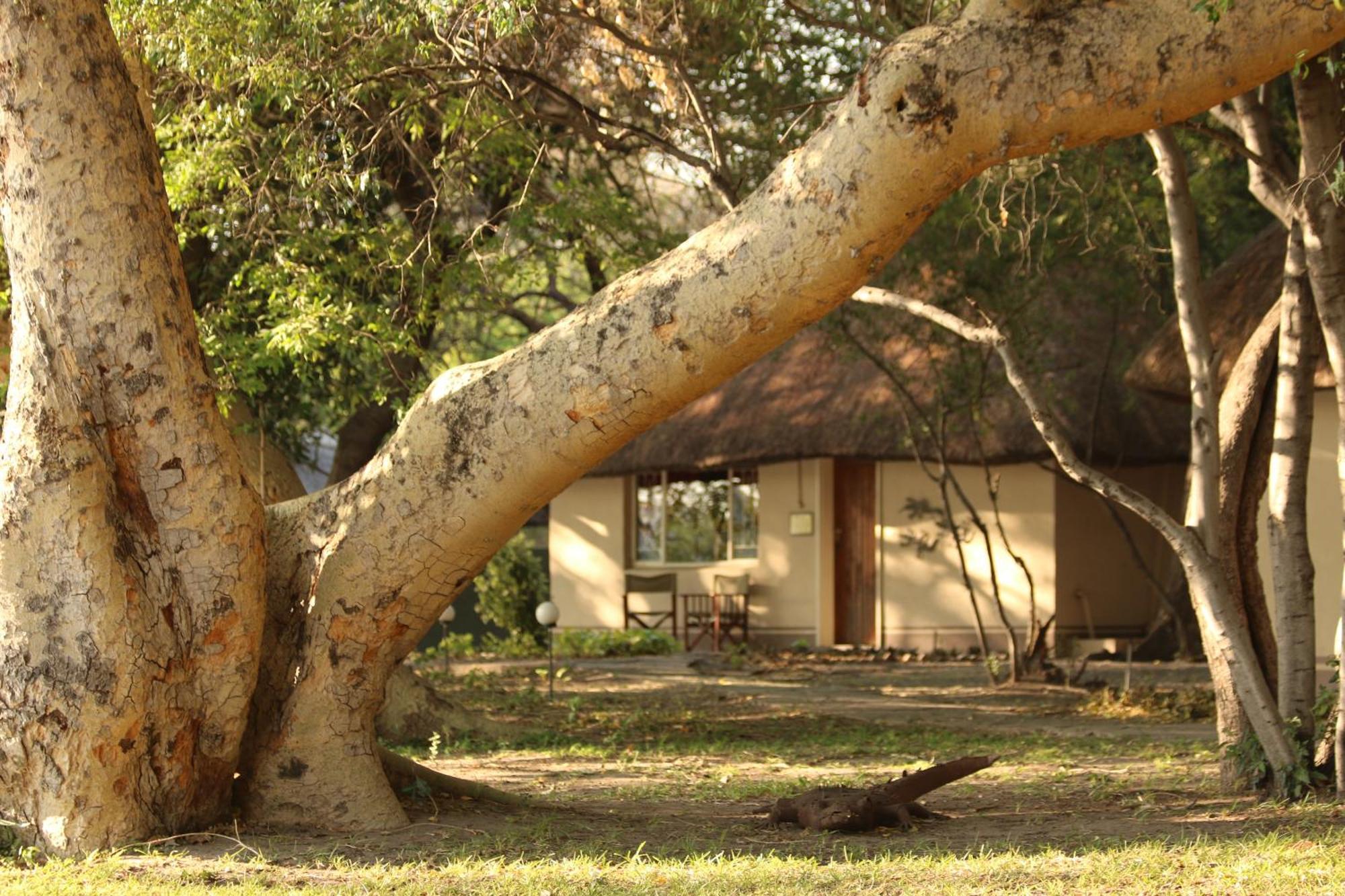 Island Safari Lodge Maun Dış mekan fotoğraf